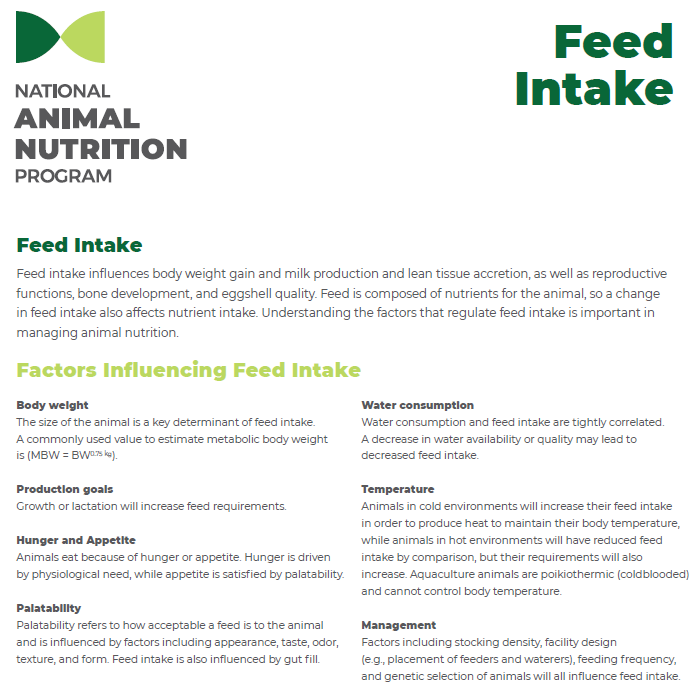 Understanding the Importance of Feed Intake