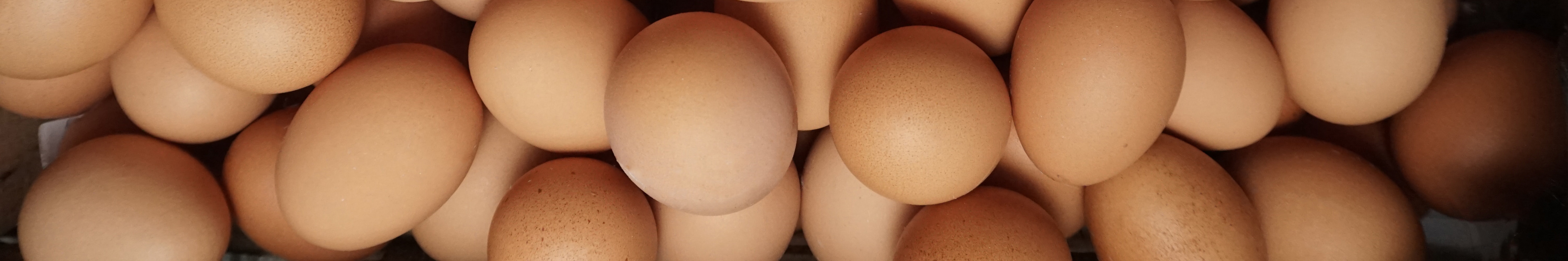 A bunch of loose eggs.
